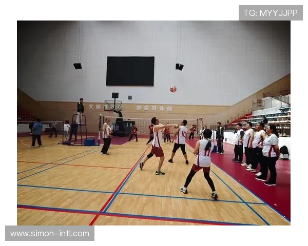 南京排球队技术实力提升荣登全国排球技术排行榜第九位